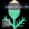6T体育 logo