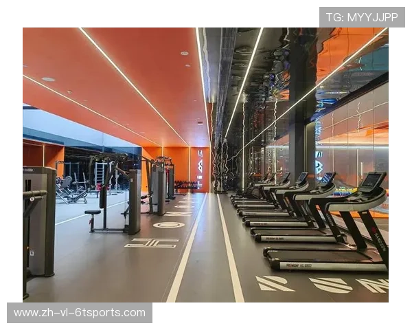 高性价比健身器材选购地图：品牌店与批发市场推荐